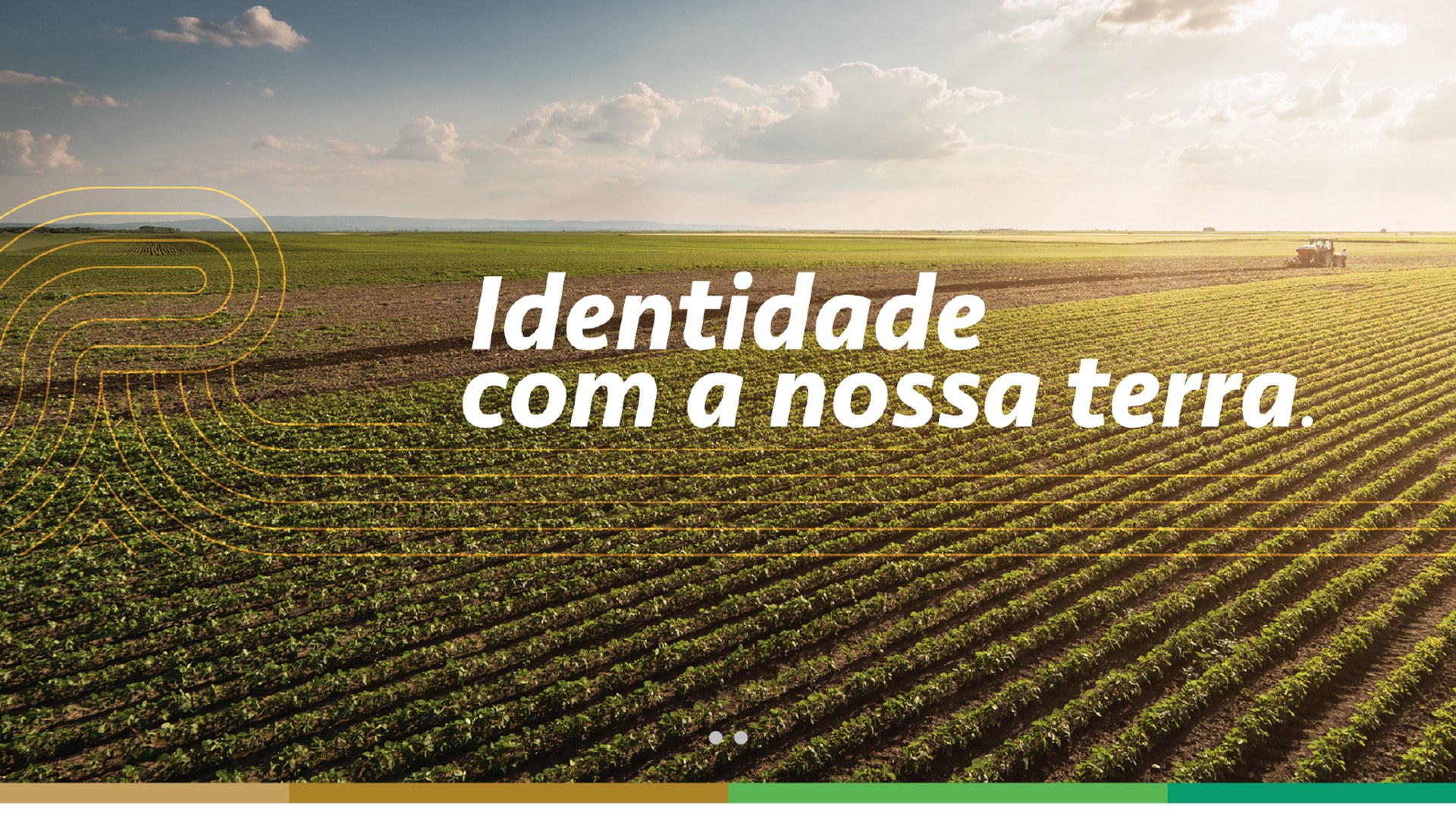 Plantação vista de cima ao pôr do sol