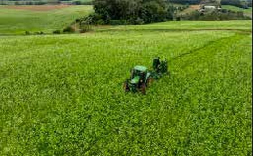 Plantação verde com máquina agrícola